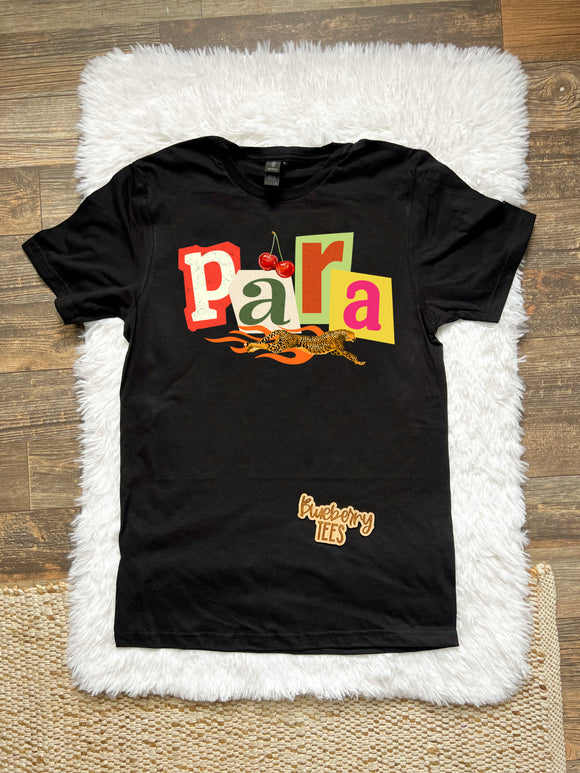 Para/Teacher