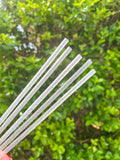 Tumbler Straws